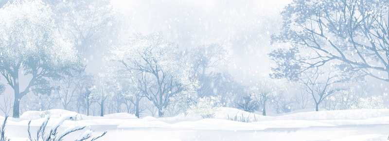 树林唯美雪景背景banner摄影图片