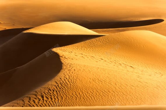 黄色沙漠沙丘摄影摄影图片