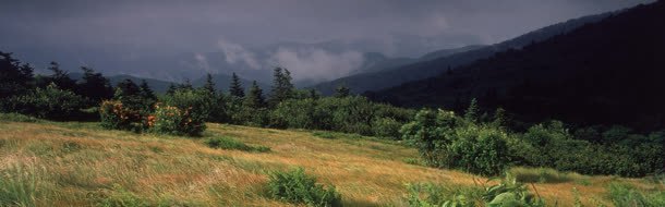 阴雨天风景背景