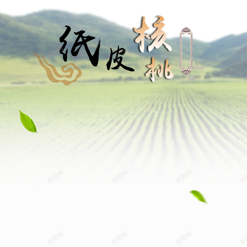 田野风景纸皮核桃PSD分层主图背景psd设计背景_88icon https://88icon.com 主图 乡村 农产品 坚果 大米 小麦 山 核桃 水稻 淘宝 田野 直通车 稻田 粮食 纸皮核桃 食品