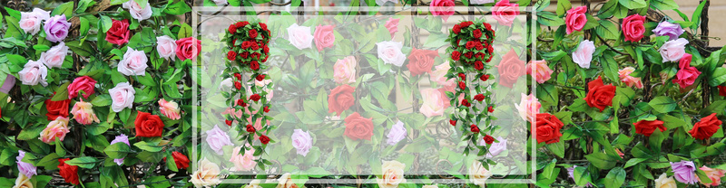 鲜花促销漂亮玫瑰背景摄影图片