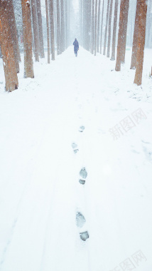 雪地上独行的脚印H5背景摄影图片