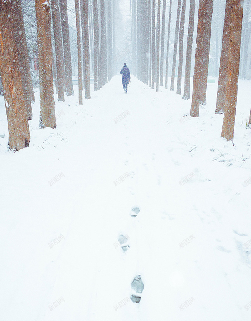 雪地上独行的脚印H5背景jpg_88icon https://88icon.com H5背景素材 摄影 独行 脚印 雪 雪地 风景