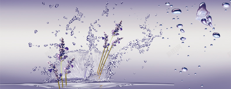 淘宝紫色薰衣草唯美水滴背景背景