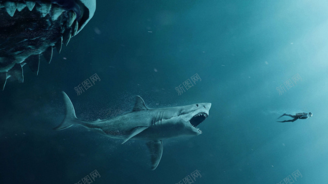 巨齿鲨与人类背景