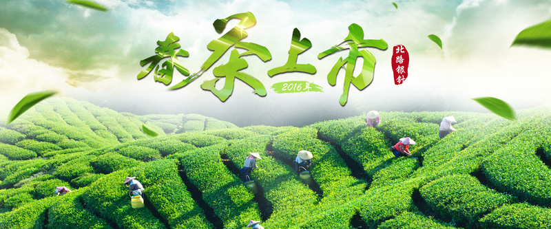 绿色茶山背景psd_88icon https://88icon.com 农村背景 小清新背景 摄影 海报banner 淘宝背景 田园背景 田野背景 绿色背景 茶叶背景 茶山背景 风景 首页背景