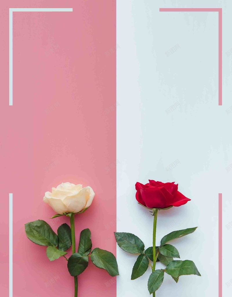 粉色花朵鲜花教师节促销海报背景模板psd设计背景_88icon https://88icon.com 9月10日 促销 师恩难忘 感谢老师 教师节 桃李满园 海报 粉色花朵 背景模板 谢师宴 鲜花