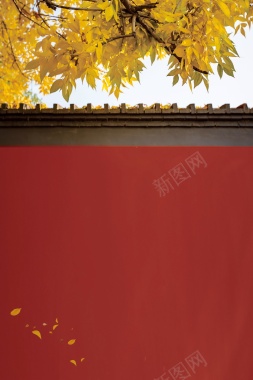 清新二十四节秋分背景模板背景