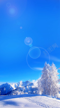 雾凇雪景背景摄影图片