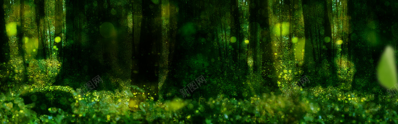 绿色森林淘宝背景摄影图片