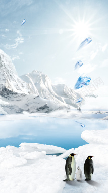 冬天雪山企鹅背景背景