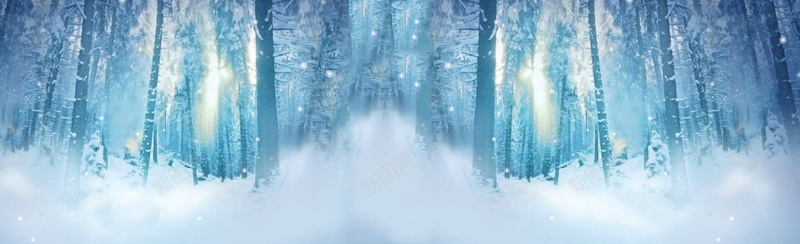 冬季雪树林背景banner摄影图片