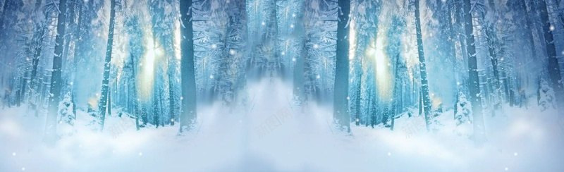 冬季雪树林背景bannerpsd_88icon https://88icon.com banner 冬季 摄影 树林 海报banner 背景 雪 风景