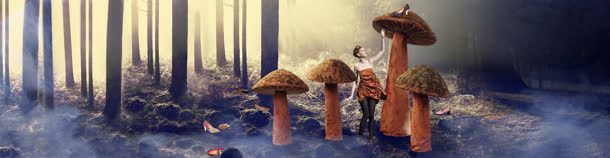 梦幻复古森林的小蘑菇背景