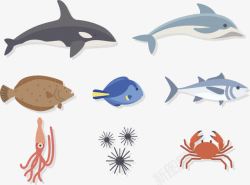 海底动物素材