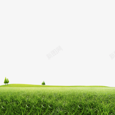 绿色草地背景