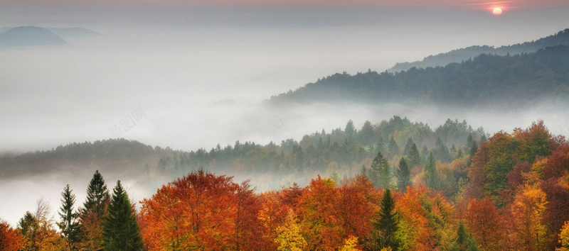 秋季唯美山林枫叶背景摄影图片
