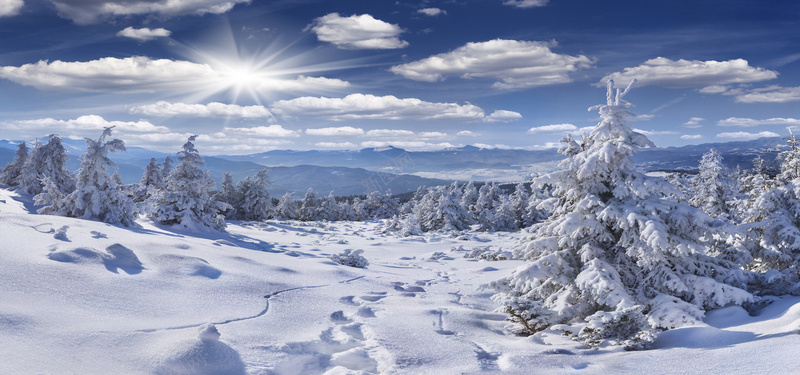 冬季唯美雪景摄影图片