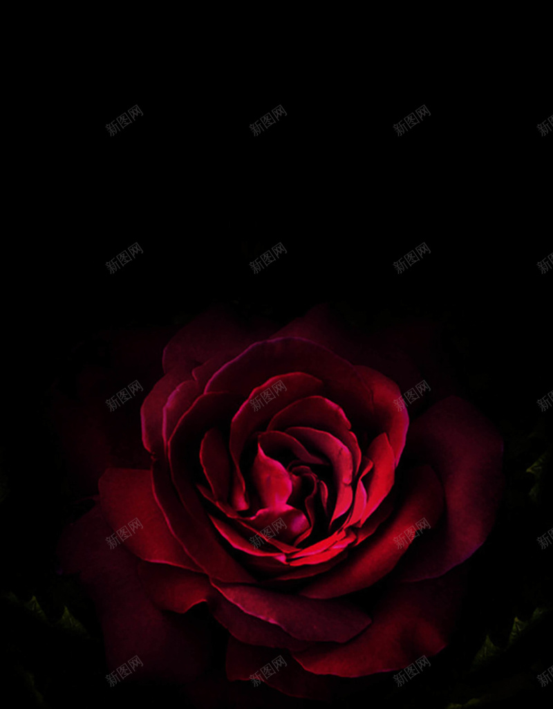 梦幻花卉化妆品海报背景psd设计背景_88icon https://88icon.com 化妆品 梦幻 浪漫 海报 美容 花卉 黑色