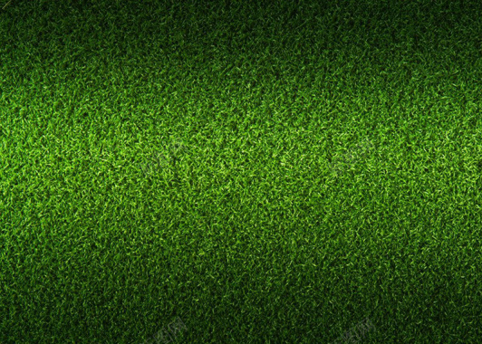 绿色纯草坪背景图背景