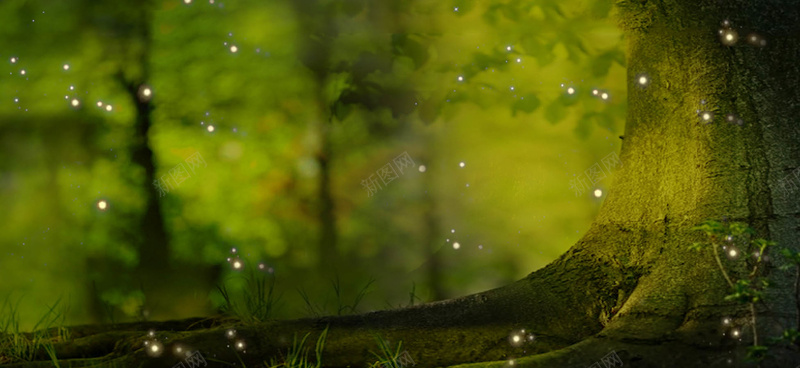 森林浪漫梦幻绿色淘宝海报背景背景