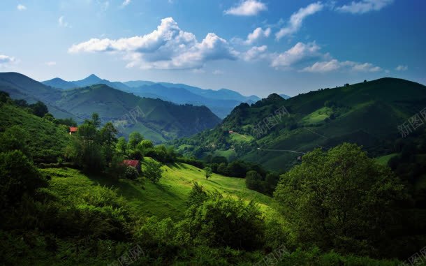 绿色森林蓝天大山jpg设计背景_88icon https://88icon.com 大山 森林 绿色 蓝天