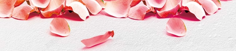 七夕情人节浪漫玫瑰节日psd设计背景_88icon https://88icon.com LOVE 一生一世 七夕 情人节 情人节海报设计 情人节玫瑰花束 情侣剪影 浪漫 浪漫情人节 海报 爱情 爱情小熊 牛郎织女 玫瑰花 真情告白