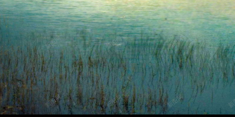 湖边风光H5背景psd_88icon https://88icon.com H5 h5 摄影 湖水 湖边 蓝色天空 风景