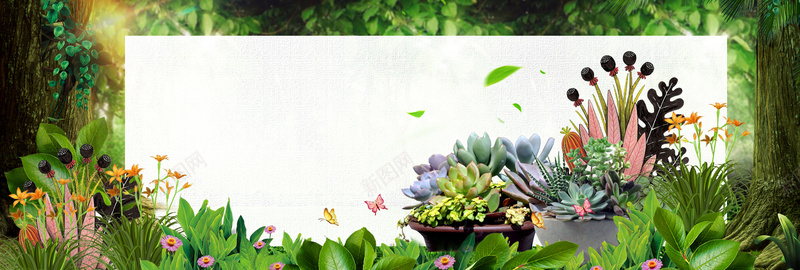 绿色森林花草多肉绿植淘宝多肉bannerpsd设计背景_88icon https://88icon.com banner 促销 多肉 森林 淘宝 绿植 绿色 花草