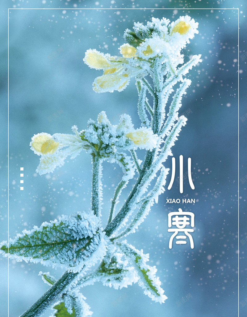 二十四节气蓝色小清新海报背景psd_88icon https://88icon.com 二十四节气 传统节气 小寒 小清新 海报 简约 节日海报 蓝色