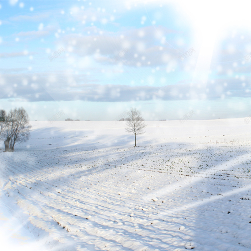 冬季雪景psd_88icon https://88icon.com 主图 冬季 小树 摄影 雪景 风景 飘雪