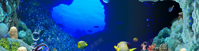海底世界海报banner背景psd设计背景_88icon https://88icon.com 摄影 水 海底 海底世界 海报banner 蓝色 风景