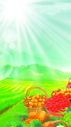 柿子摄影自然水果风光psd分层H5背景高清图片