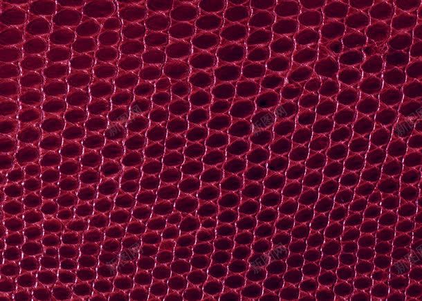 红色皮质纹理特写jpg设计背景_88icon https://88icon.com Leather 图案 图片素材 底纹背景 特写 皮质 皮质纹理 皮革 皮革纹理 皮革背景 红色 红色皮质纹理特写高清图片图片 红色皮质纹理特写高清图片图片素材下载 背景花边 高清图片