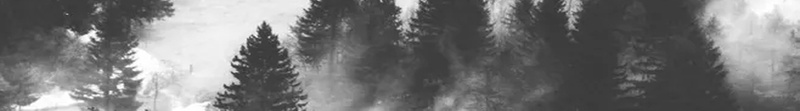 神秘树林山水海报psd设计背景_88icon https://88icon.com 世外桃源 个性 创意 唯美 山 树林 特色 神秘 迷雾