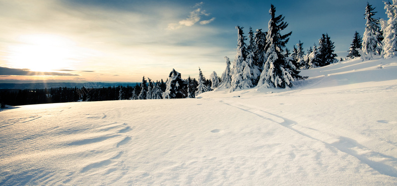 雪地背景psd_88icon https://88icon.com 唯美 大气 摄影 海报banner 雪景 风景