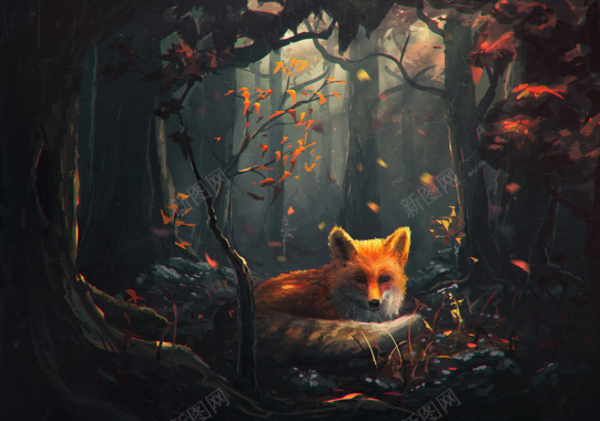 狐狸森林风景摄影平面广告摄影图片