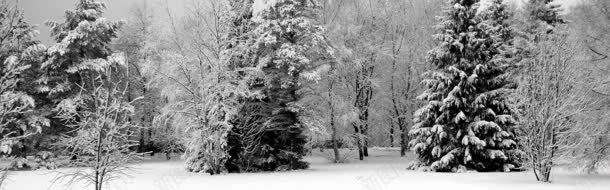 雪景森林背景