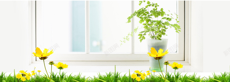 夏天温馨家居盆栽黄色花朵小清新背景背景