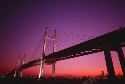 公共建筑夕阳中的拉索大桥高清图片