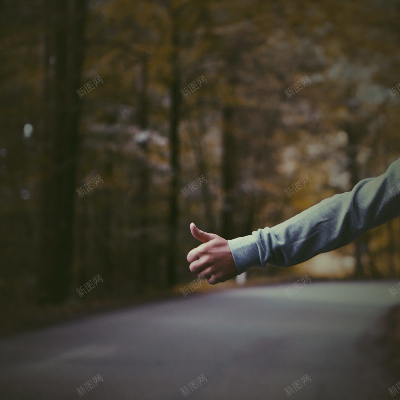 潮流男士森林psd设计背景_88icon https://88icon.com 主图 森林 潮流 点赞