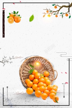 橙子展架赣南脐橙创意高清图片