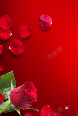 红色玫瑰花海报背景背景