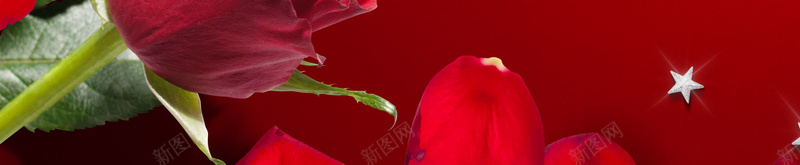 红色玫瑰花海报背景psd设计背景_88icon https://88icon.com 大气 海报 玫瑰花 红色 背景 花朵 花瓣