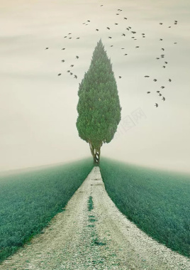 创意个性海报背景背景