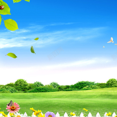 摄影首图摄影图片