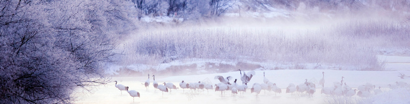 冬季上市淘宝banner壁纸psd_88icon https://88icon.com 大雪 店铺 摄影 标签 活动 海报banner 雪景 风景