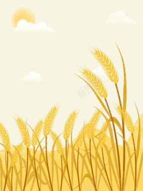 金色小麦手绘插画背景