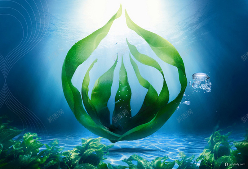 深海里的海藻海报背景jpg设计背景_88icon https://88icon.com 化妆品广告 化妆品海报背景 摄影 海藻 深海 深海背景 背景素材 蓝色 风景