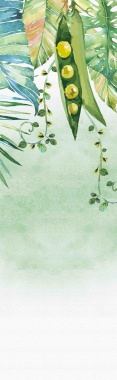 绿色植物展板海报背景模板背景
